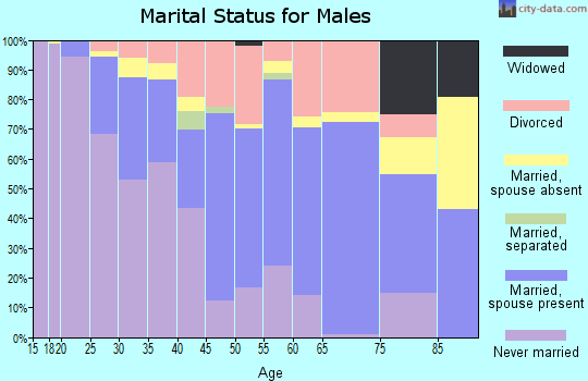 Zip code 56304 marital status for males