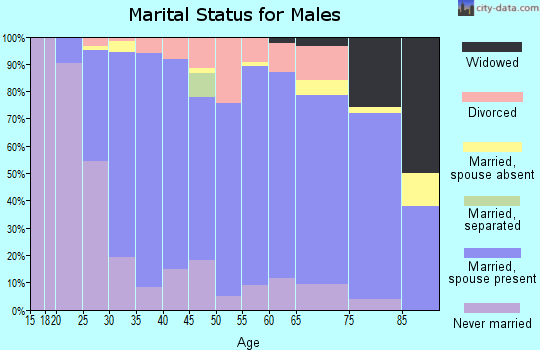 Zip code 56307 marital status for males