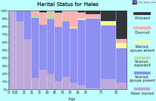 Zip code 56308 marital status for males