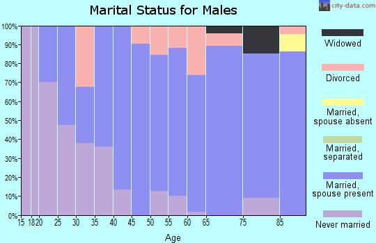 Zip code 56309 marital status for males