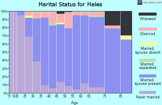 Zip code 56310 marital status for males
