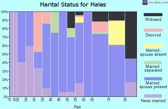 Zip code 56311 marital status for males