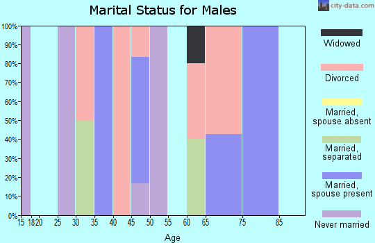 Zip code 56313 marital status for males