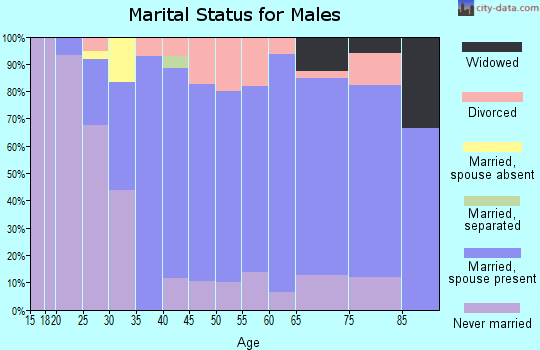 Zip code 56314 marital status for males