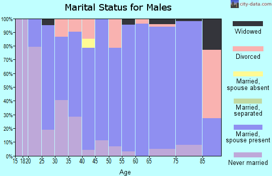 Zip code 56315 marital status for males