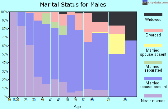 Zip code 56316 marital status for males