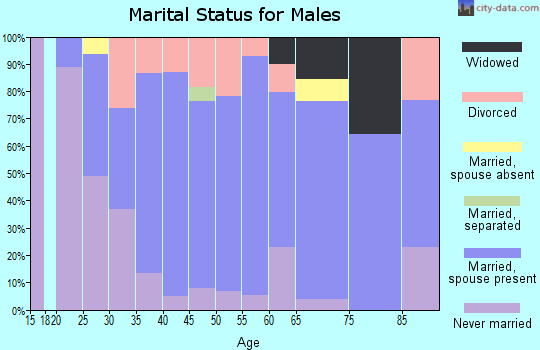 Zip code 56318 marital status for males