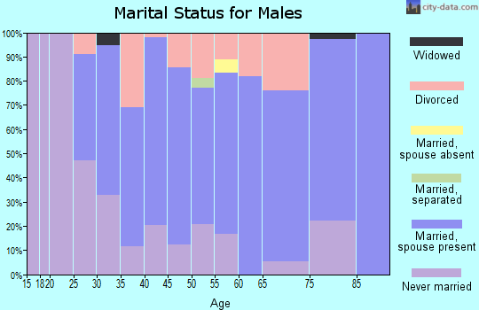 Zip code 56319 marital status for males