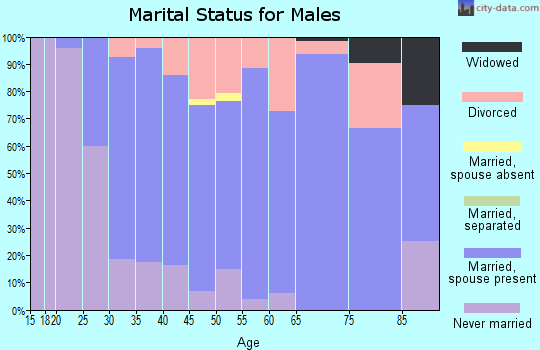 Zip code 56324 marital status for males