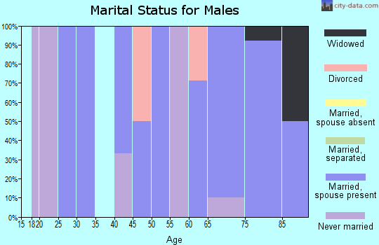 Zip code 56325 marital status for males