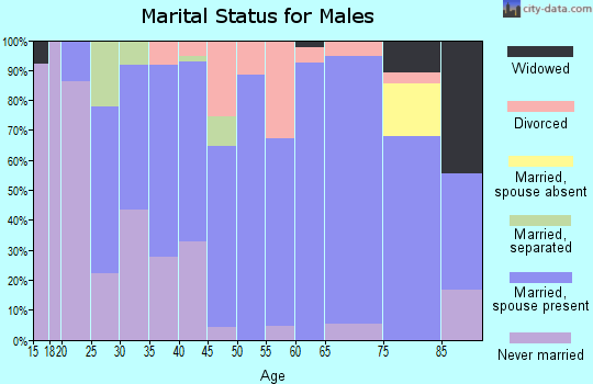 Zip code 56326 marital status for males