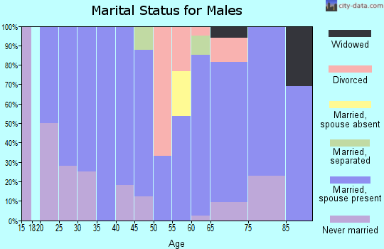 Zip code 56327 marital status for males