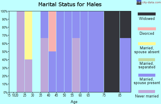 Zip code 56328 marital status for males