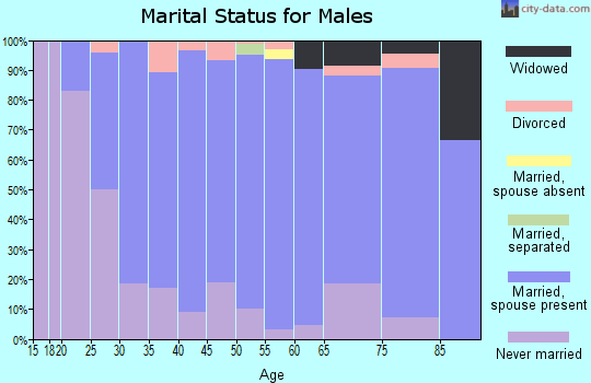 Zip code 56331 marital status for males