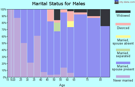 Zip code 56332 marital status for males