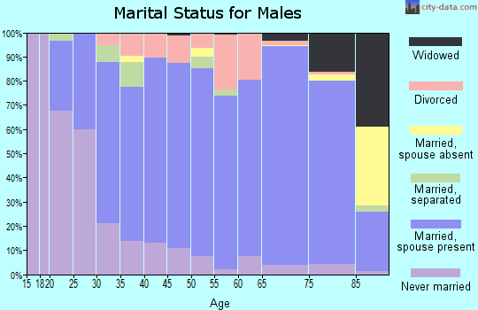 Zip code 56334 marital status for males