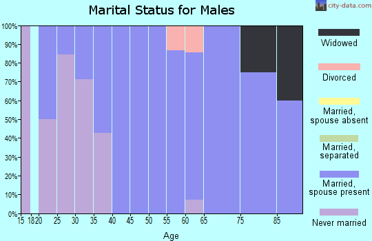 Zip code 56335 marital status for males
