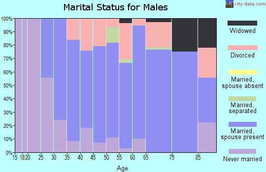 Zip code 56336 marital status for males
