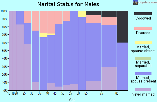 Zip code 56339 marital status for males