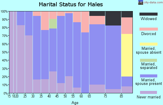 Zip code 56340 marital status for males