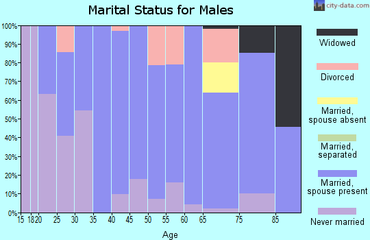 Zip code 56343 marital status for males