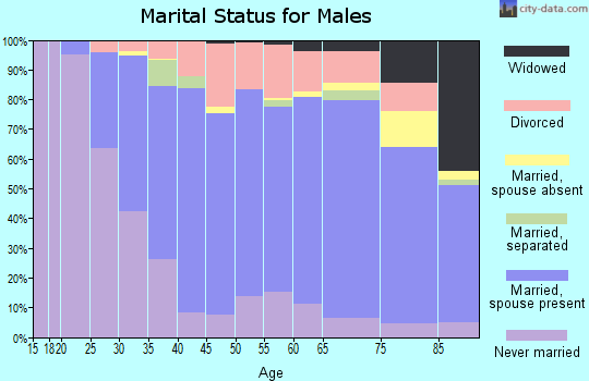 Zip code 56345 marital status for males