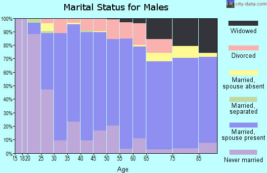 Zip code 56347 marital status for males