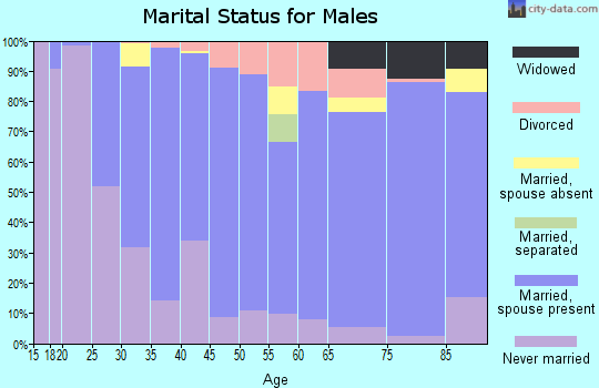 Zip code 56352 marital status for males