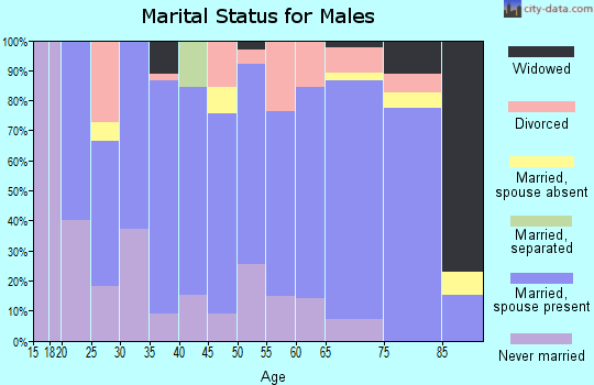 Zip code 56354 marital status for males