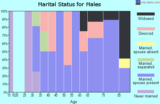 Zip code 56356 marital status for males