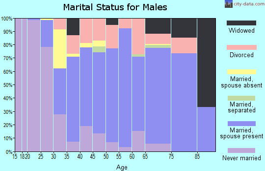 Zip code 56358 marital status for males