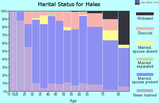Zip code 56360 marital status for males