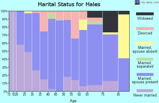 Zip code 56361 marital status for males