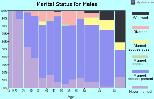 Zip code 56362 marital status for males