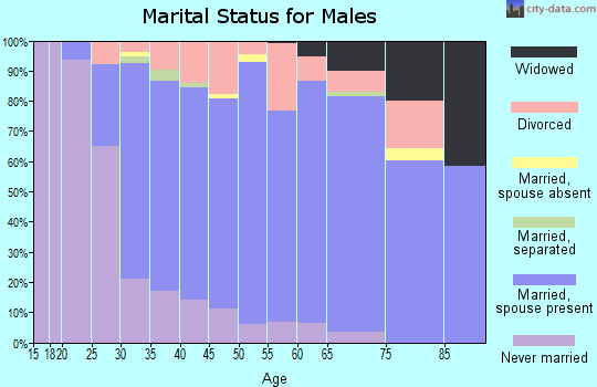 Zip code 56367 marital status for males
