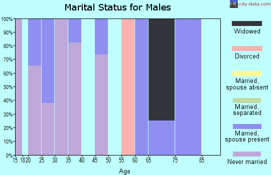 Zip code 56369 marital status for males