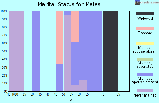 Zip code 56371 marital status for males
