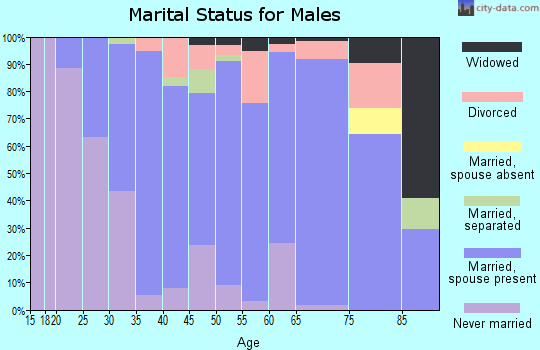 Zip code 56373 marital status for males