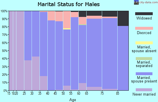 Zip code 56374 marital status for males