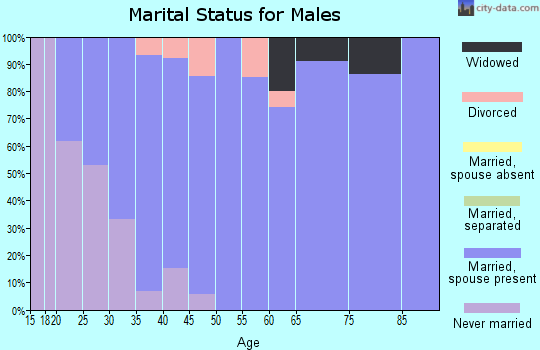 Zip code 56375 marital status for males
