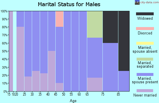 Zip code 56376 marital status for males