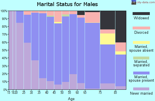 Zip code 56377 marital status for males