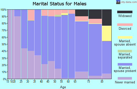 Zip code 56378 marital status for males