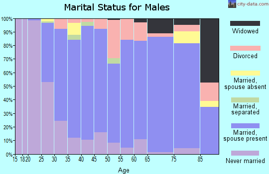 Zip code 56379 marital status for males