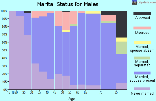 Zip code 56381 marital status for males