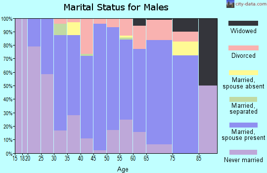 Zip code 56382 marital status for males