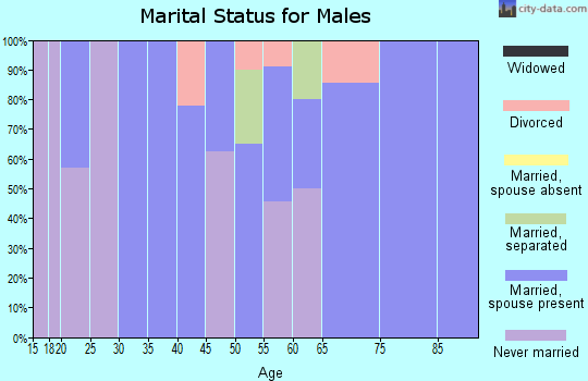Zip code 56384 marital status for males