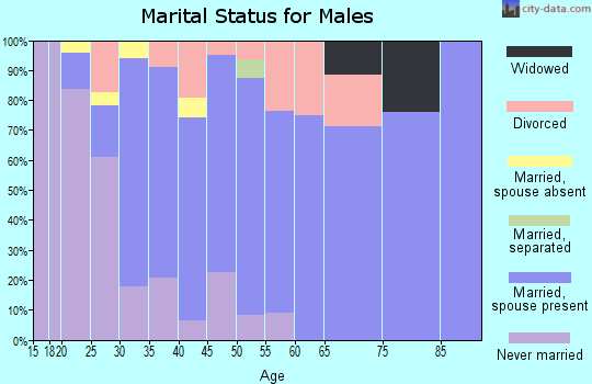 Zip code 56385 marital status for males