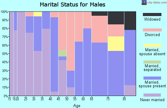 Zip code 56387 marital status for males