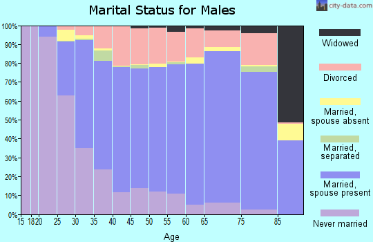 Zip code 56401 marital status for males